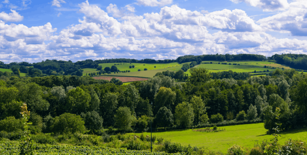 Milieu