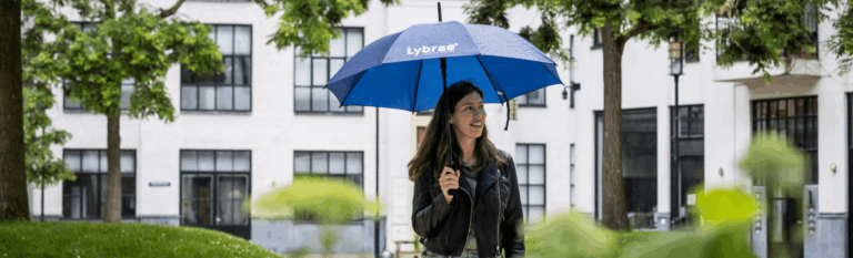 werken bij de overheid
